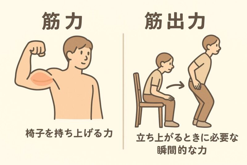 筋力と筋出力の違い💪のアイキャッチ画像